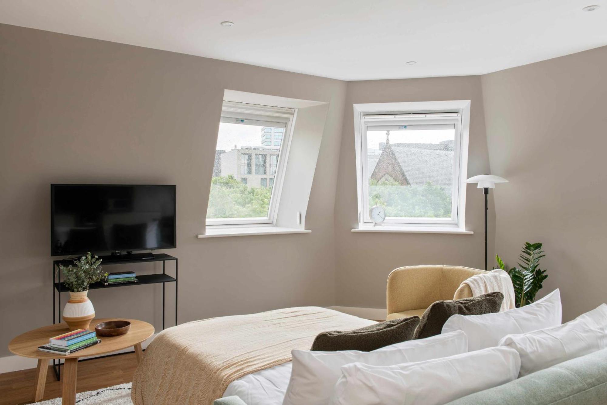 One Bedroom Suite Sofa bed